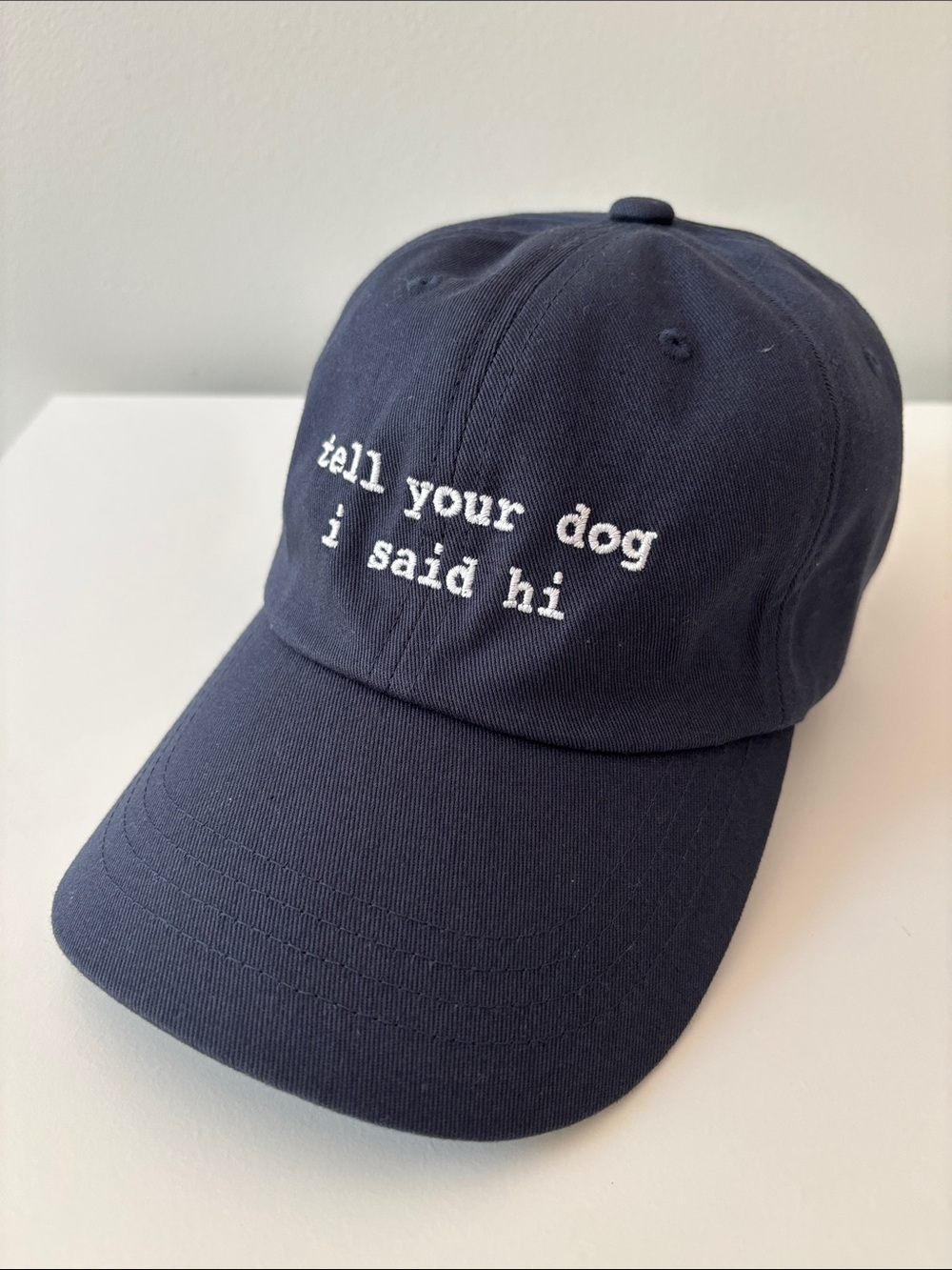TELL YOUR DOG I SAID HI baseball hat cap navy adjustable